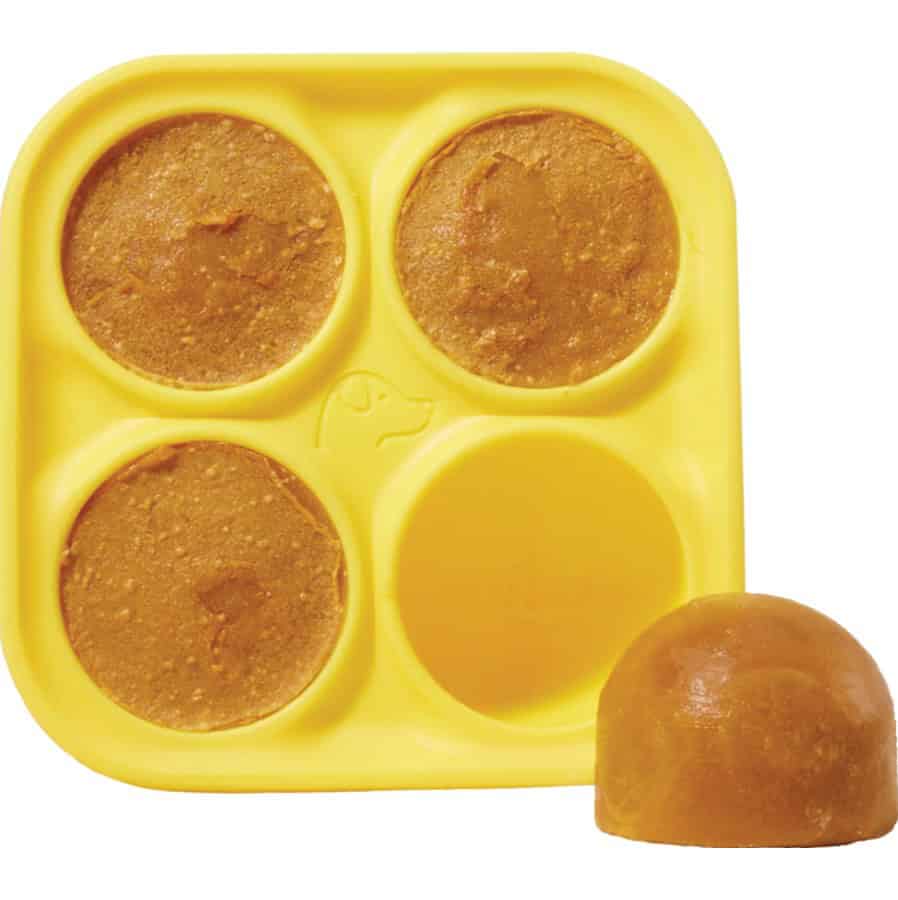 Woof® Pupsicle Treat Tray Mold for Homemade Dog Treats