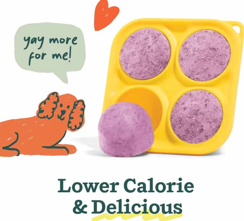 Woof® Pupsicle Calming Beef Lickable Dog Treat Mix 5.5 oz
