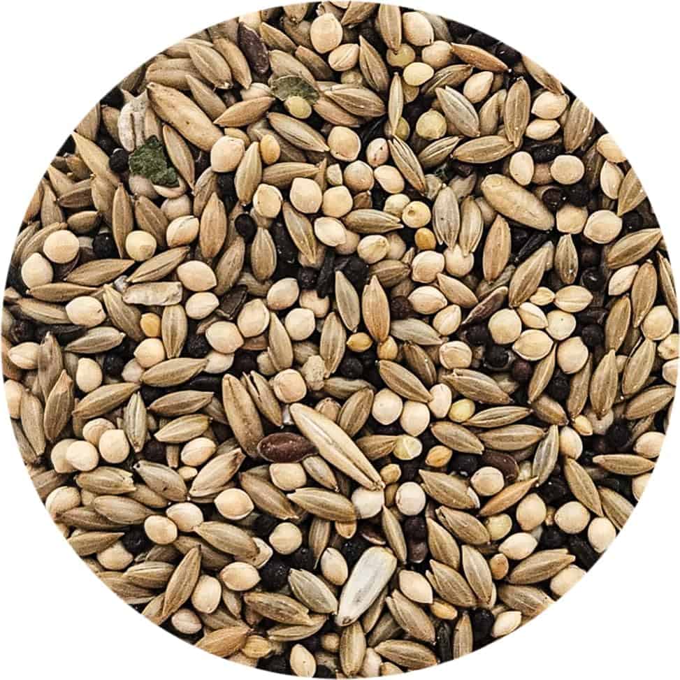 Sweet Harvest Canary Food 2 lb