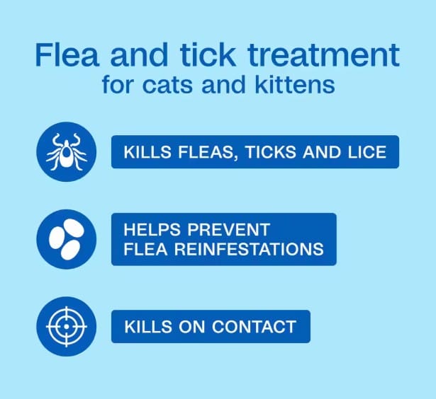 ADAMS™ Plus Flea & Tick Foaming Shampoo for Cats & Kittens 10 oz