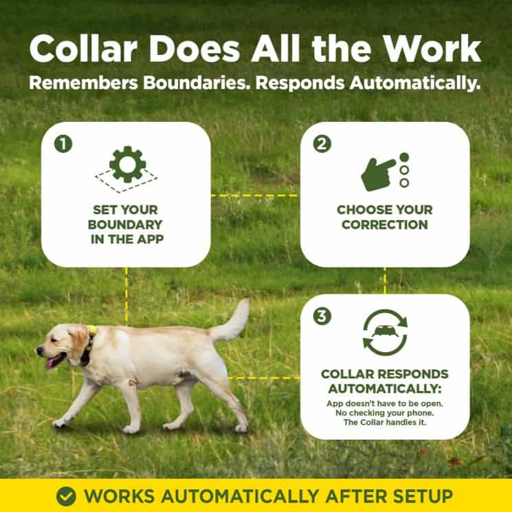 Dogtra-GPS-Fence-5