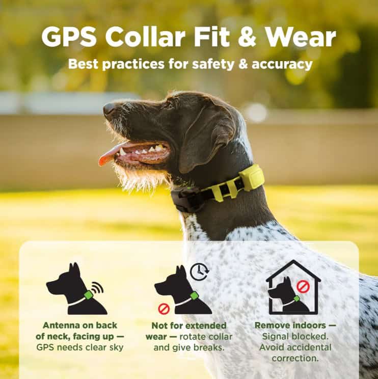 Dogtra® GPS Fence Virtual Wireless Dog Containment System