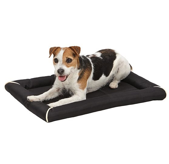 QT-Maxx-Black-Bed-2